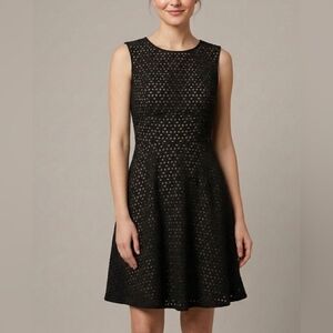 LOFT Eyelet Fit &Flare Mini Dress Black Beige Lining 4 Boho Chic Preppy Cocktail